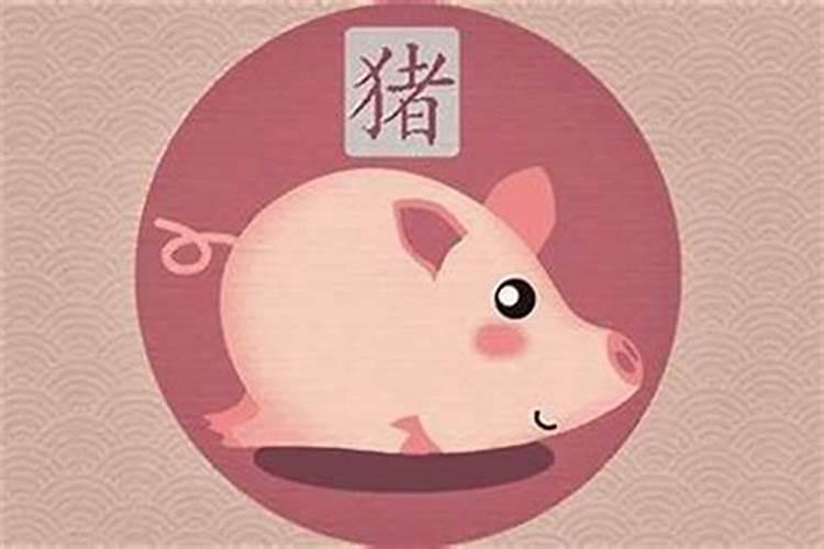 属猪年一生的运程