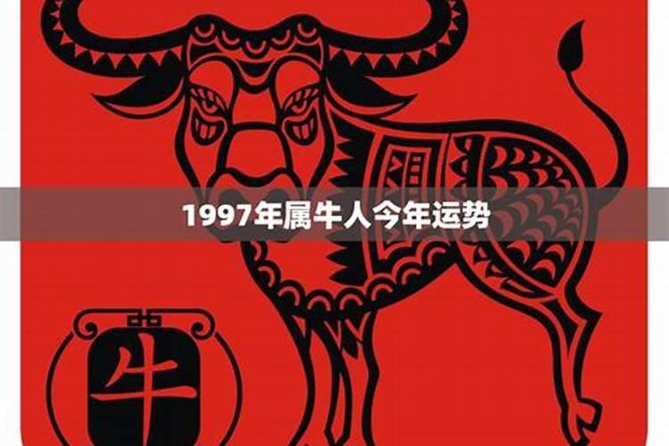 1997年属牛今年运势