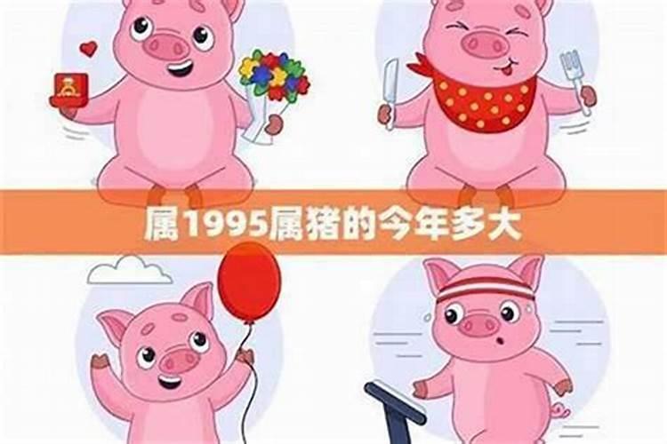 属猪男四月份的运势如何？