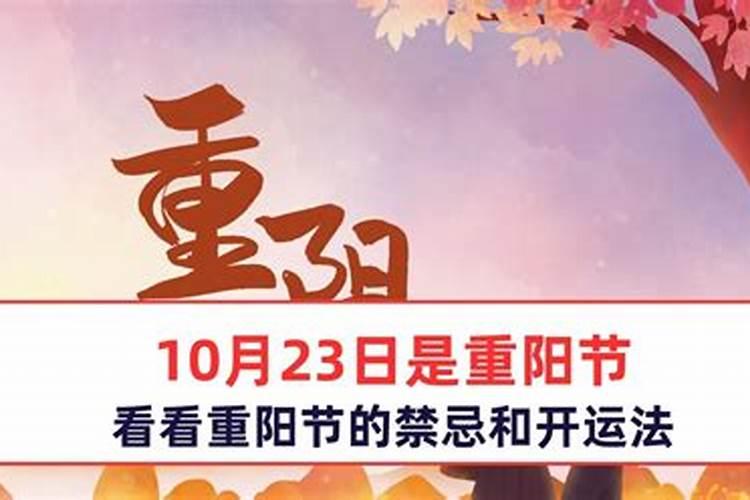 重阳节的5大禁忌