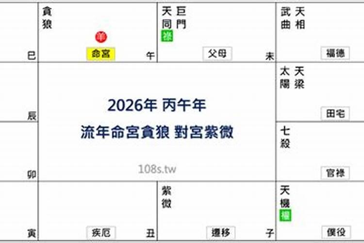 紫微各主星2026年运势