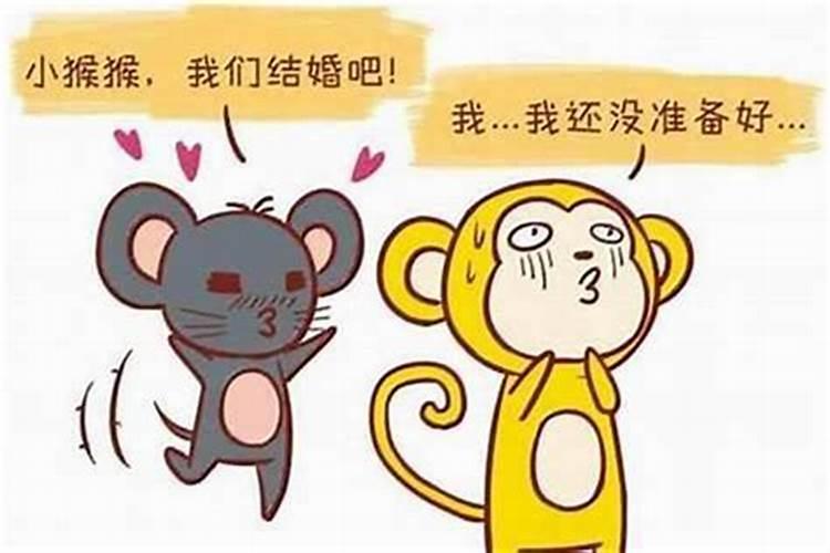 男猴女狗婚配属相好吗？