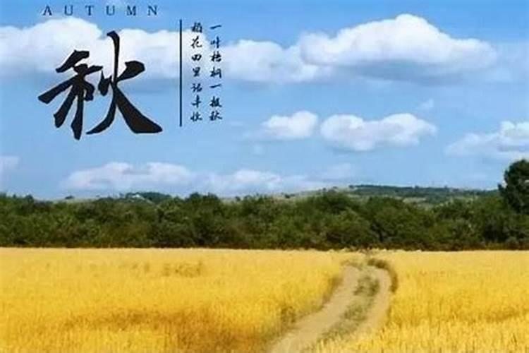 202立秋是什么时候？