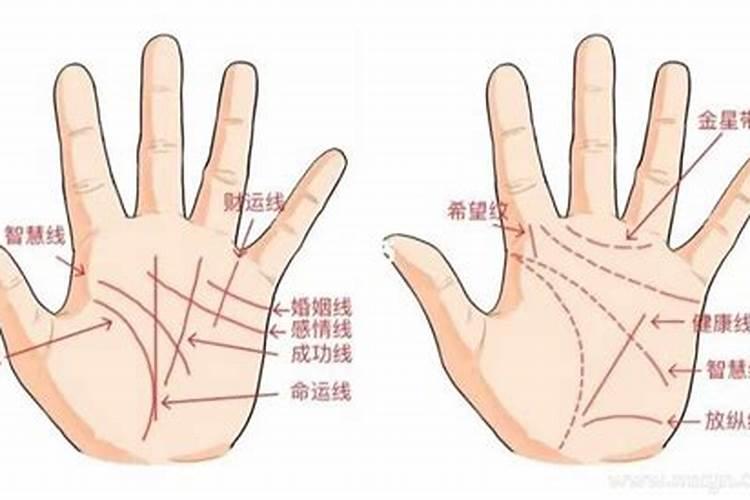 梦见看自己的手相什么意思？