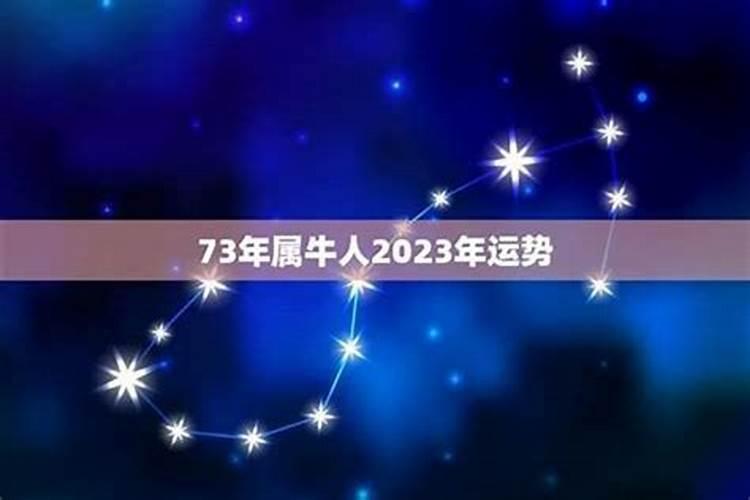 73年出生的人2026年的运程