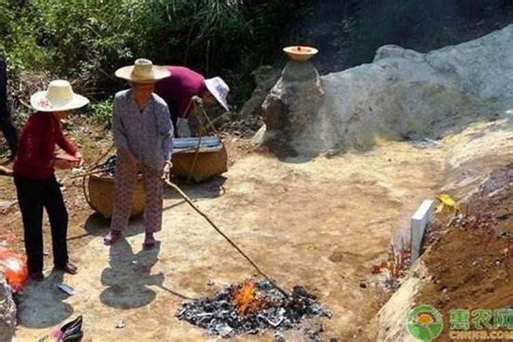 中秋节上坟遇到蛇