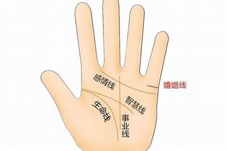看面相手相算婚姻准么？