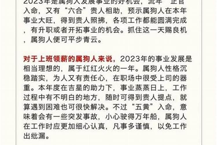 82年狗女进入2026年运势如何？