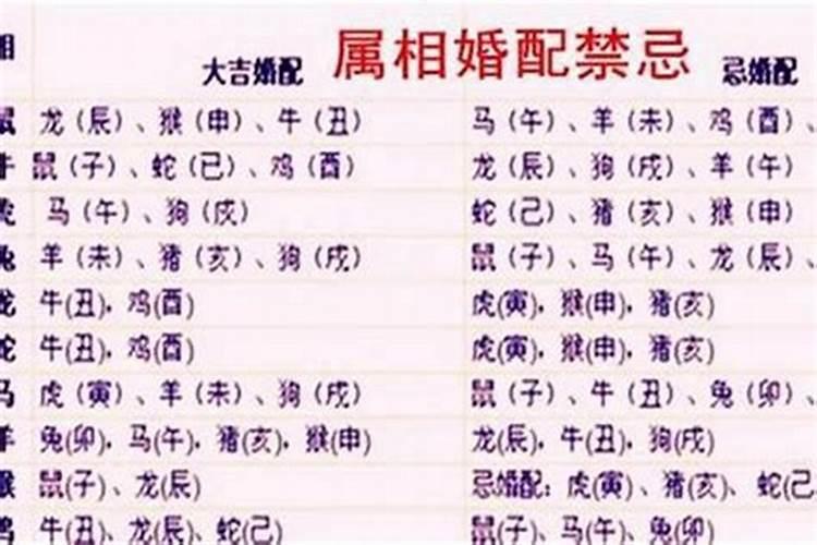 属牛婚配哪个属相最好？