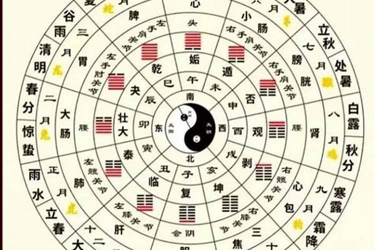 怎么看自己的命宫？