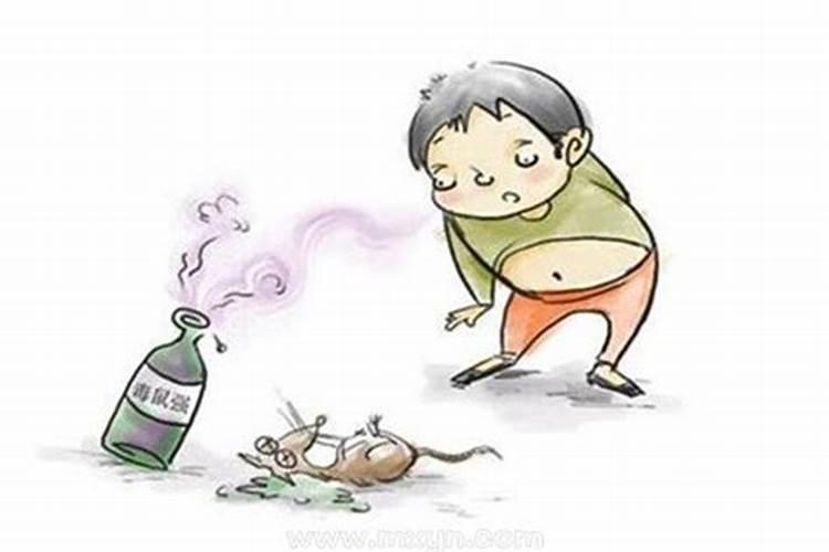 梦见老鼠被自己打死了