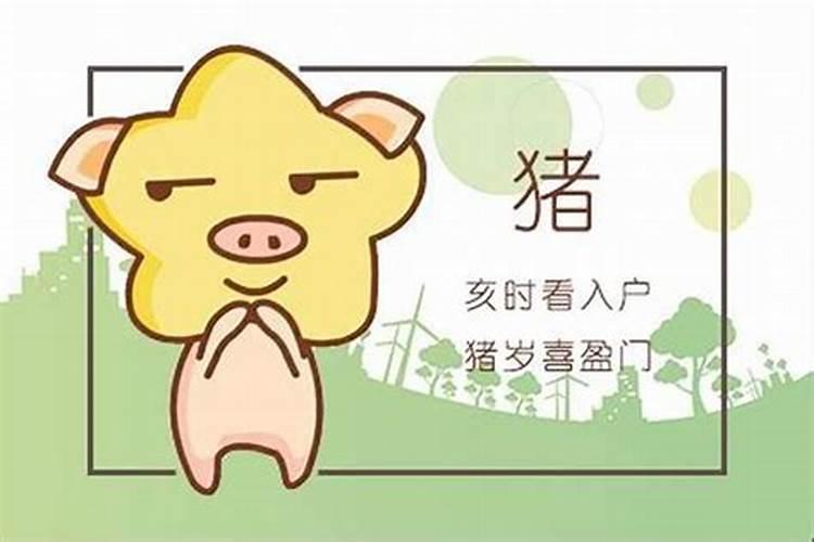 83年的猪哪年运势好？