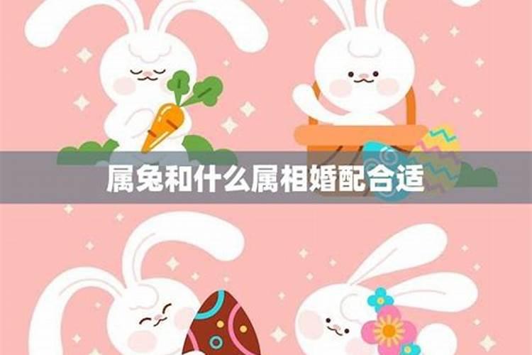 男兔与什么属相女婚配最佳？
