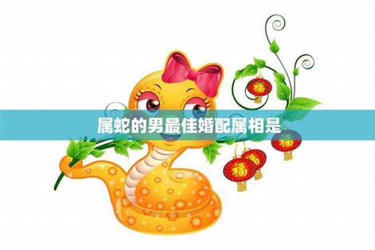 属蛇最好的婚配是哪个属相？