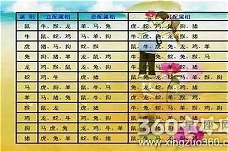 男牛婚配什么属相好？