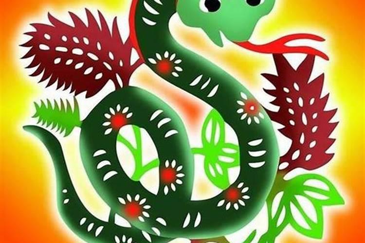 蛇属相明年运势如何？