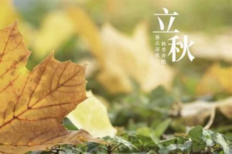 立秋在哪个节气后面呢？