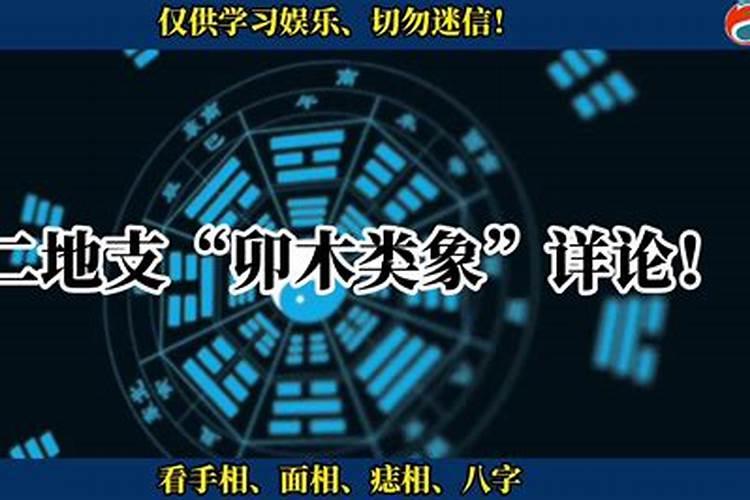 盲派八字如何定格局？