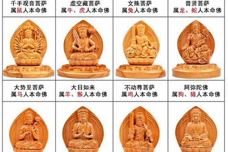 本命年生肖守护神是什么？