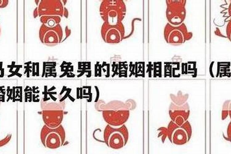 兔男和马女的婚配属相好吗？