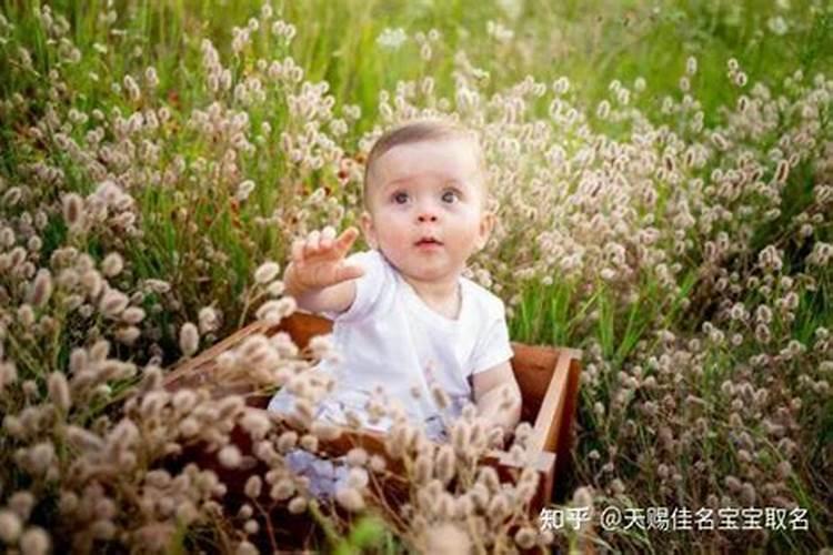 立秋出生的孩子取名女孩