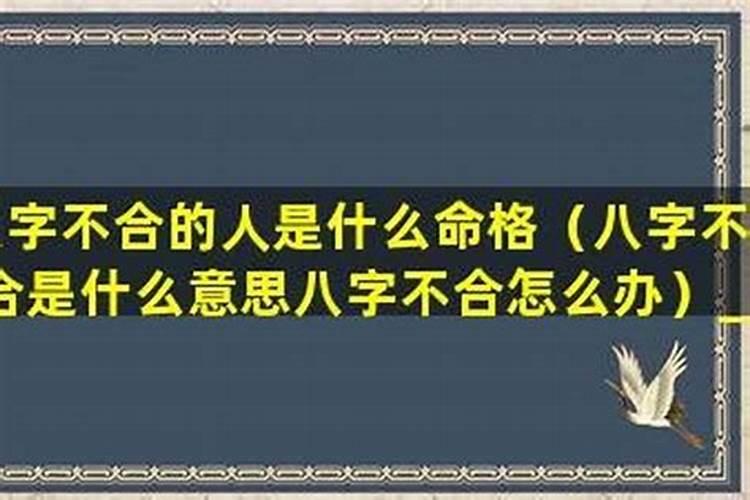 八字不合中八字指什么意思？