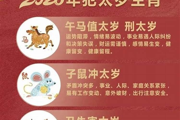 12属相运程2026年运程