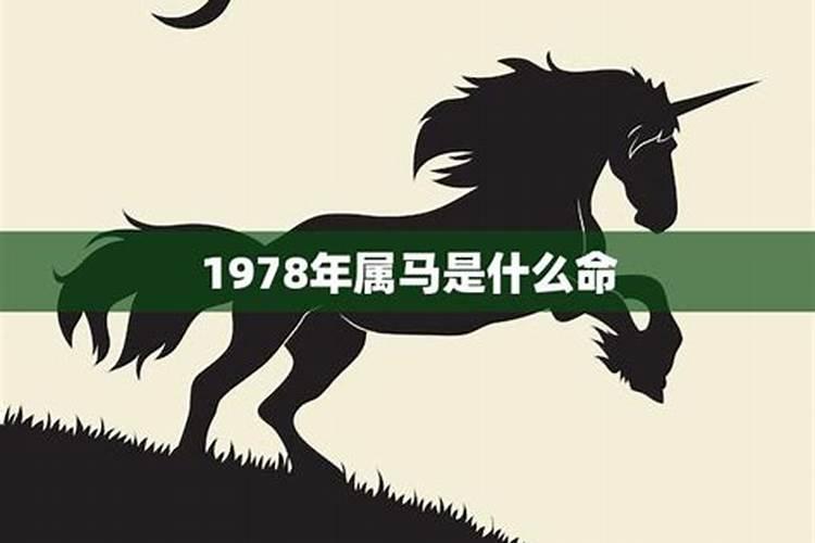 1978年的马是什么命？
