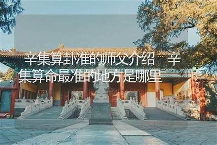 枣阳哪里有算命的高人？