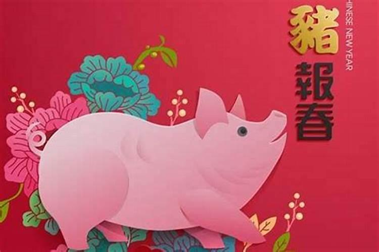 猪年今年的运势怎么样？