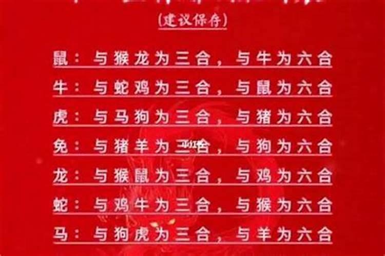 什么属相婚配合适吗？