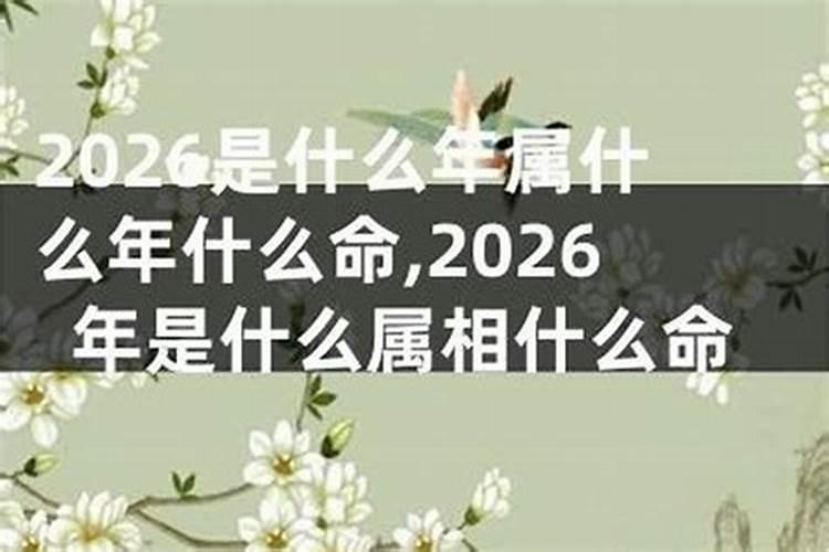 2026年是什么年什么命？