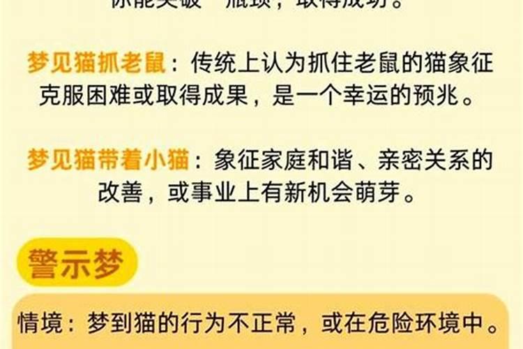 老年人梦见猫是啥意思？