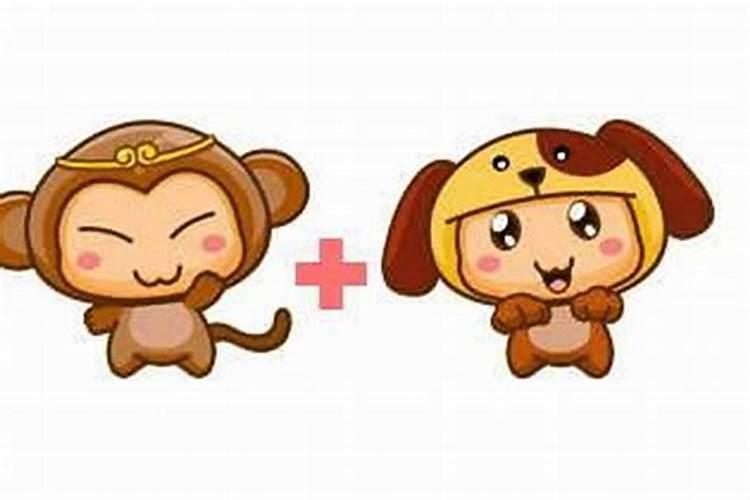 狗男兔女八字合不合