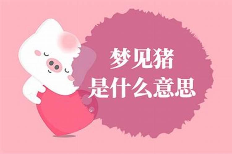 梦见猪和狗是什么意思？