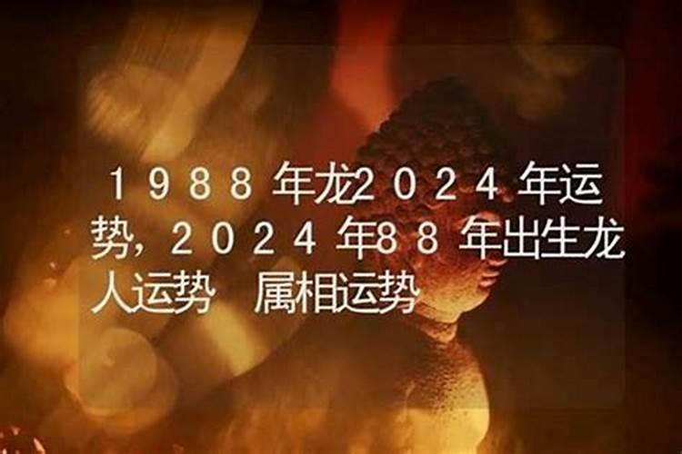 88的龙2026年运势