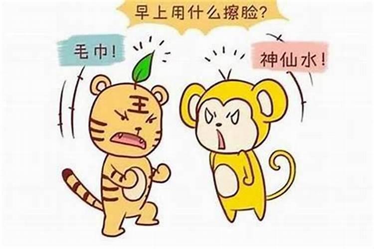 男虎女猴属相可以婚配吗？