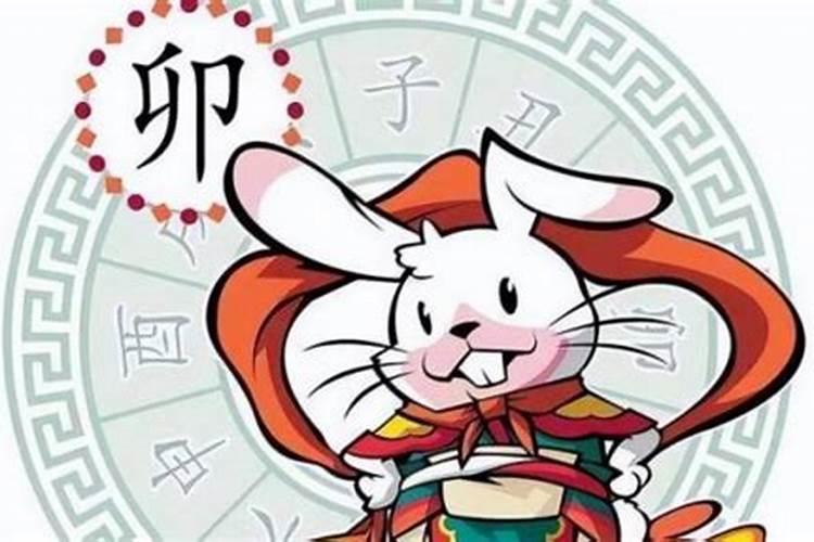 查属兔人今年的运势如何？