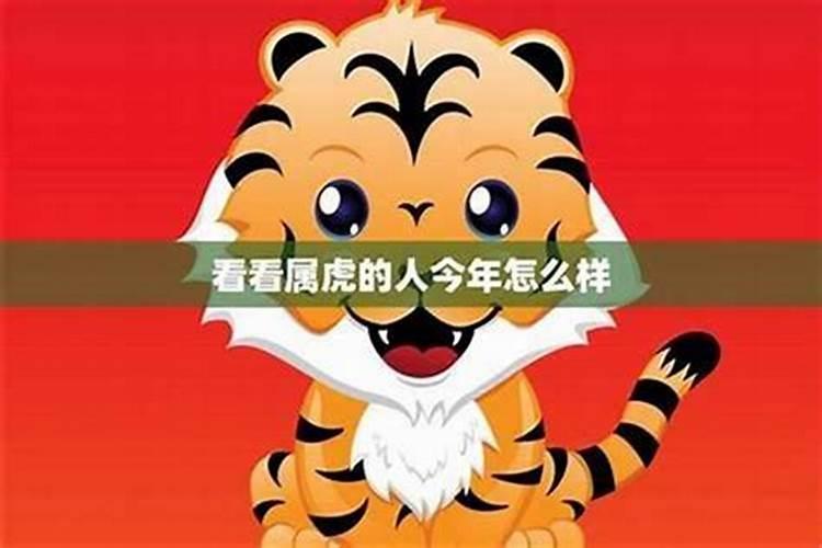 属虎出生在2026年运势如何？