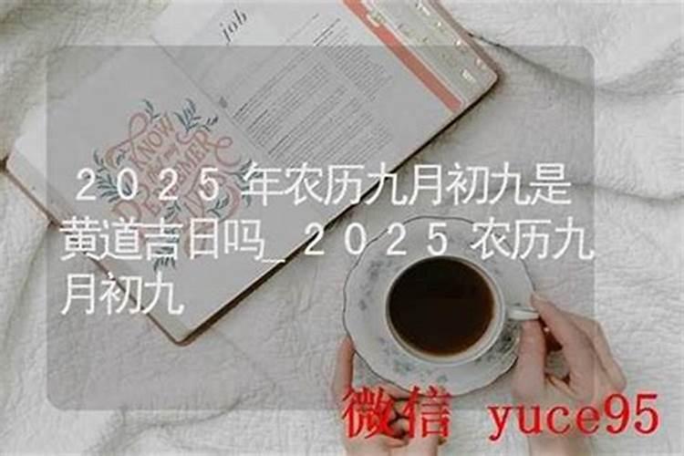 九月初九2026年的财运
