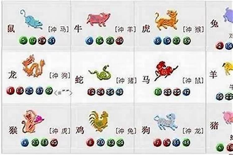 属虎的跟属牛的八字合不合
