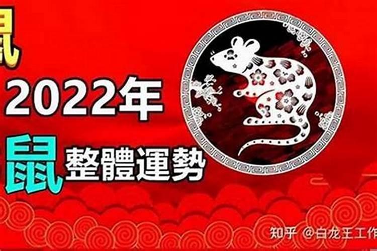 2026属鼠8月份运程如何？