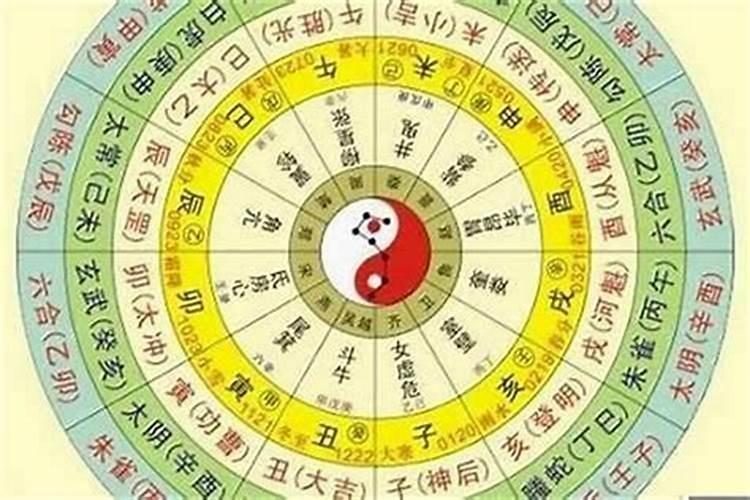 怎么看自己八卦属像？