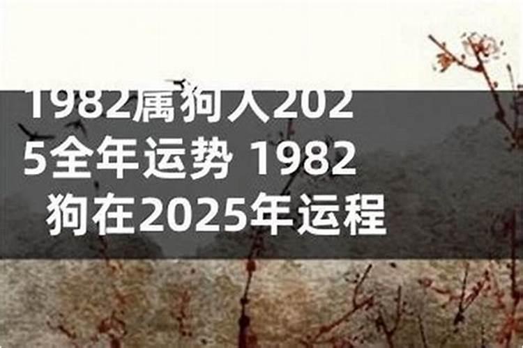 82年的人在2026年的运程