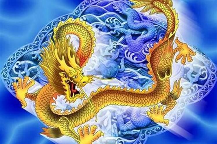 属龙和属虎的人合婚吗？