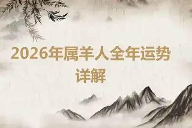 羊年的2026年运势