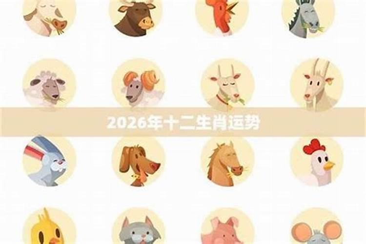2026年运势12生肖羊