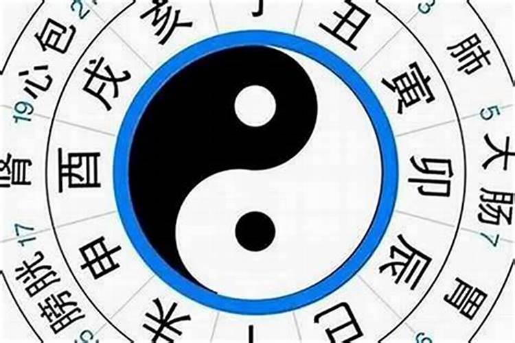 八字合婚月柱地支代表什么？