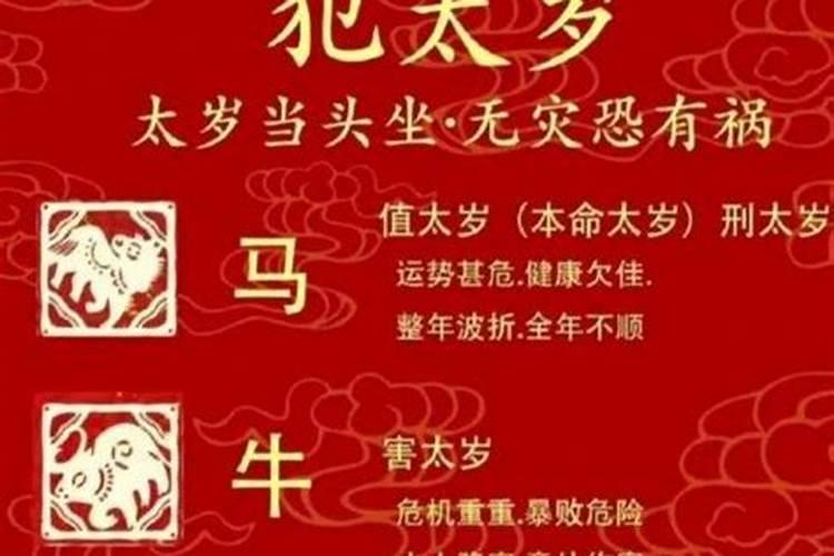 2026犯太岁放什么花好？