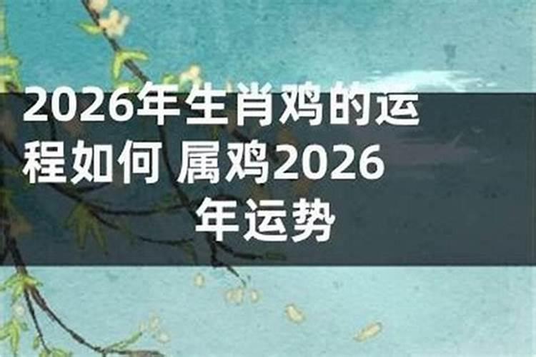 八二年属鸡2026年运势